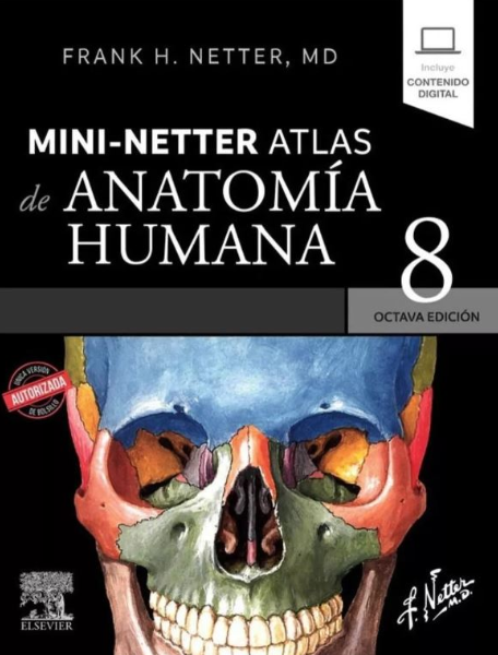 Mini-Netter. Atlas de anatomía humana, 8a ed