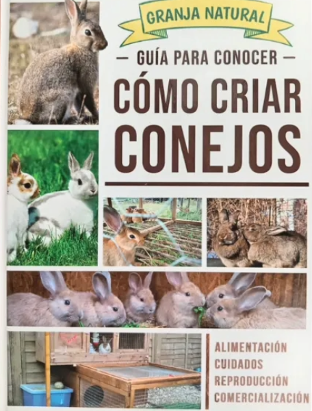 Guía Para Conocer Cómo Criar Conejos - Grupo Clasa