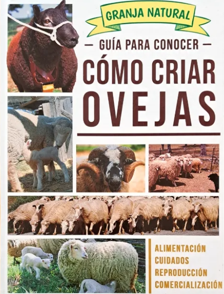 Guía Para Conocer Cómo Criar Ovejas - Grupo Clasa
