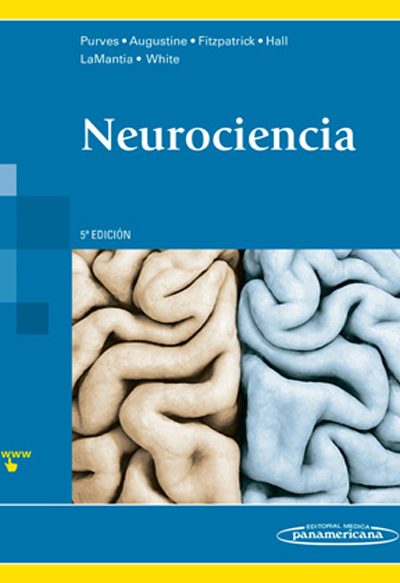 Neurociencia